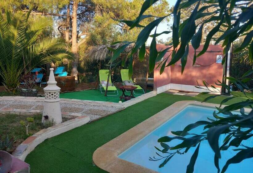 Koala Valdareina, Piscine Chauffée, Bénagil Carvoeiro