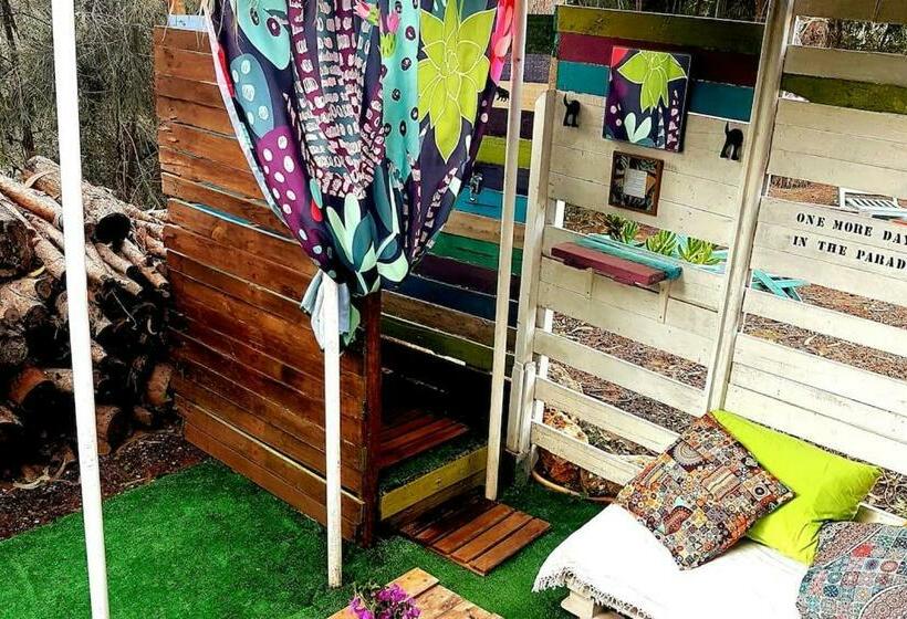 Koala Valdareina, Piscine Chauffée, Bénagil Carvoeiro