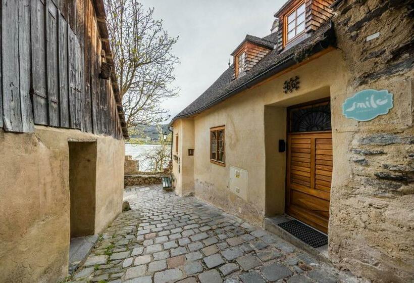 Smile Apartments Mit Donaublick