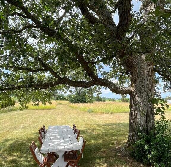 The Prince Edward County Church