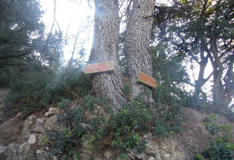 Uso Di Mare 7 By Tempovacanza