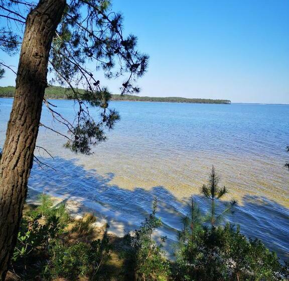 Au Cocon D Ornon Top Location Bordeaux