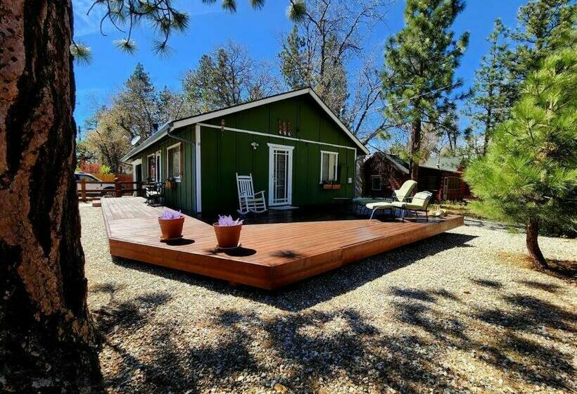 Bear Escapes Ii Affordable Luxury Cabin