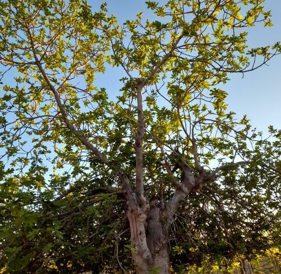 Entre Viñas, Sol Y Montañas