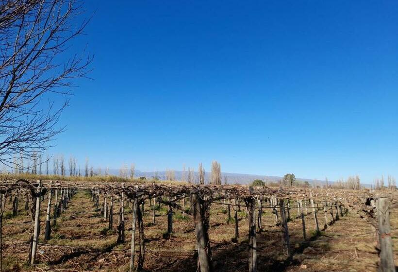 Entre Viñas, Sol Y Montañas