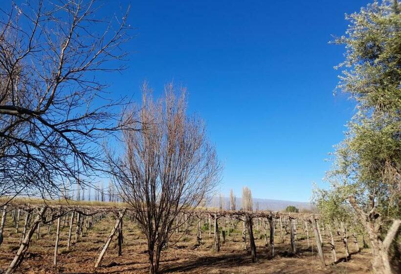 Entre Viñas, Sol Y Montañas