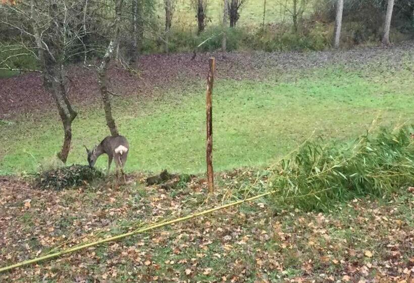 Grand Gîte Avec Piscine Le Presbytère De Savignac De Duras
