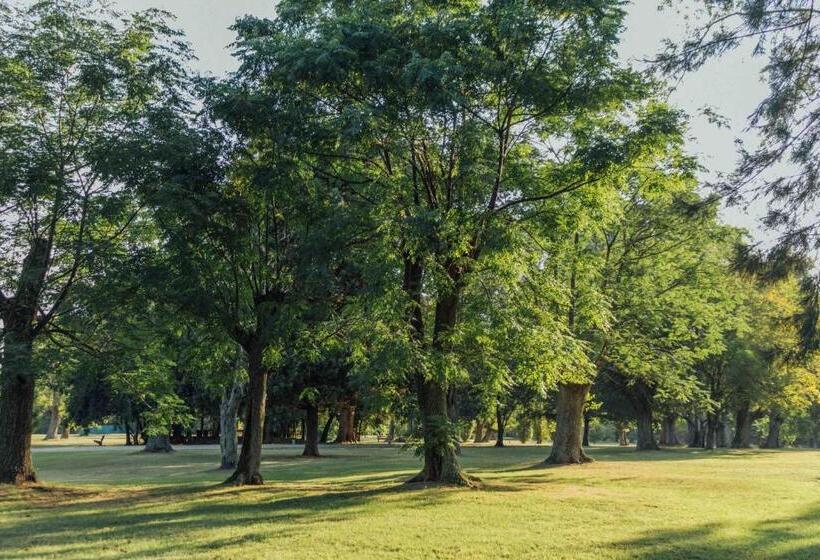 La Martineta Posada De Campo