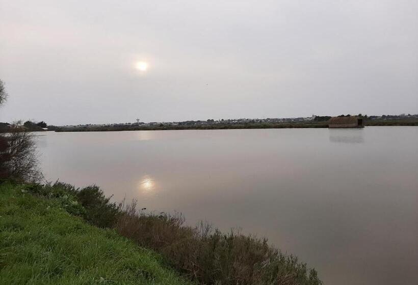 La Vie Là   Saint Gilles Croix De Vie