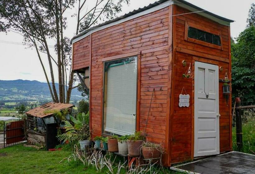 Palu Ecoaldea Reserva Forestal