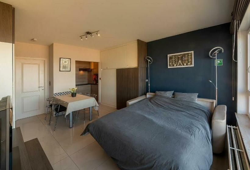 Splendid Seaview   Ostend Luxury Studio 4 Persons At Beach And Sea