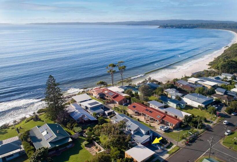 Stonefish For 10 Hyams Beach
