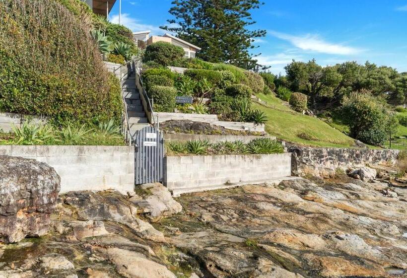 Stonefish For 10 Hyams Beach