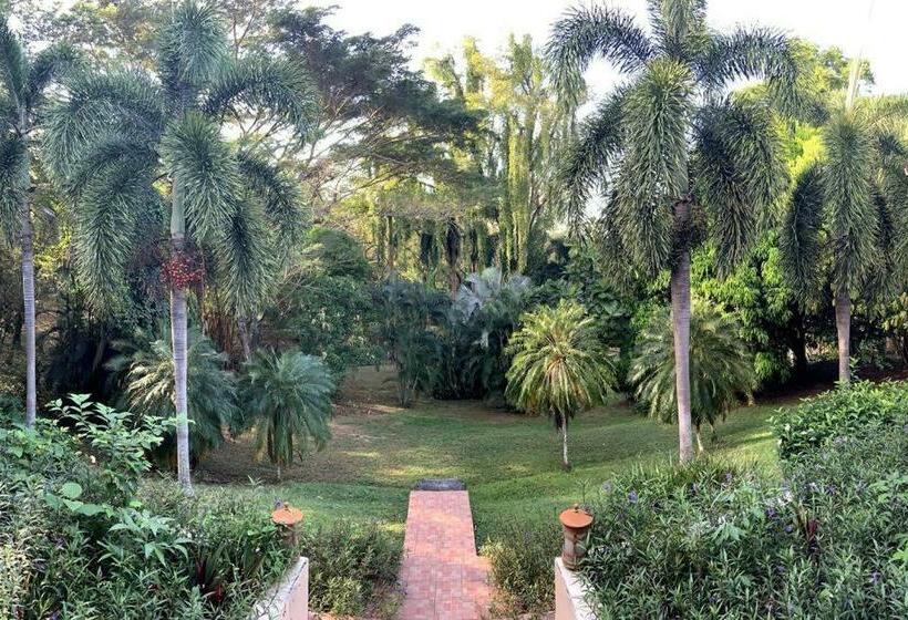 Stunning Oceanfront 4 Bdrm Villa W/ Infinity Pool