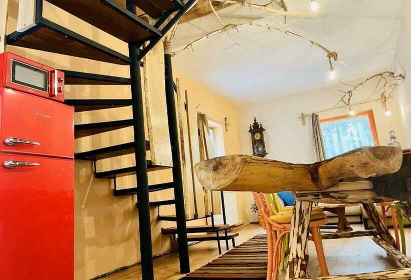 Viewtopia The Secret Land