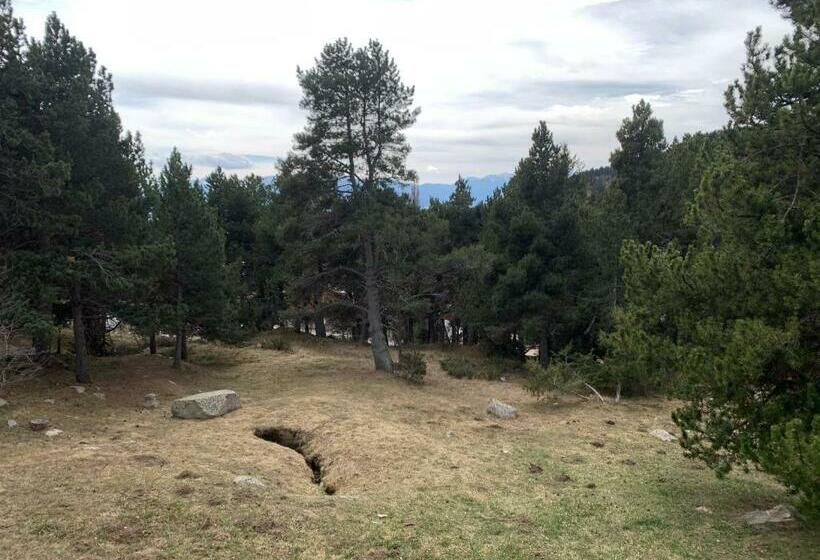 Le Cocon Des écureuils