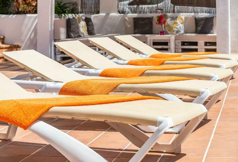 3001 Schöne Villa Am Meer In Sant Elm