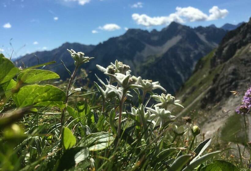Ferienwohnungen Scholl   Private Sauna Oder Infrarotkabine