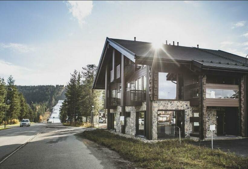 Levi Platinum Aurora