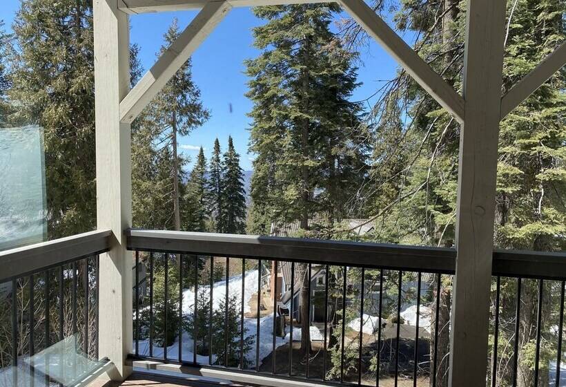 Yosemite S Pine Cove