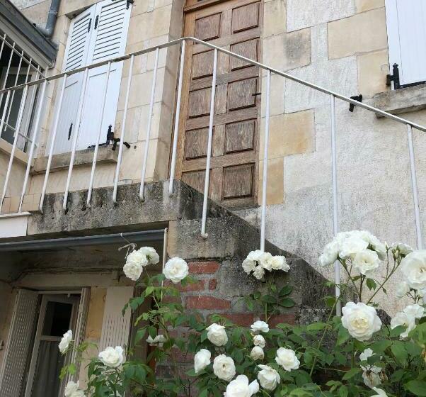 Sancerre Sunflower   Tournesol De Sancerre