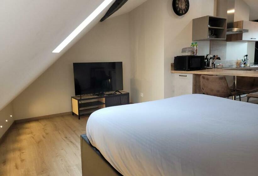 Studio Au Centre Ville
