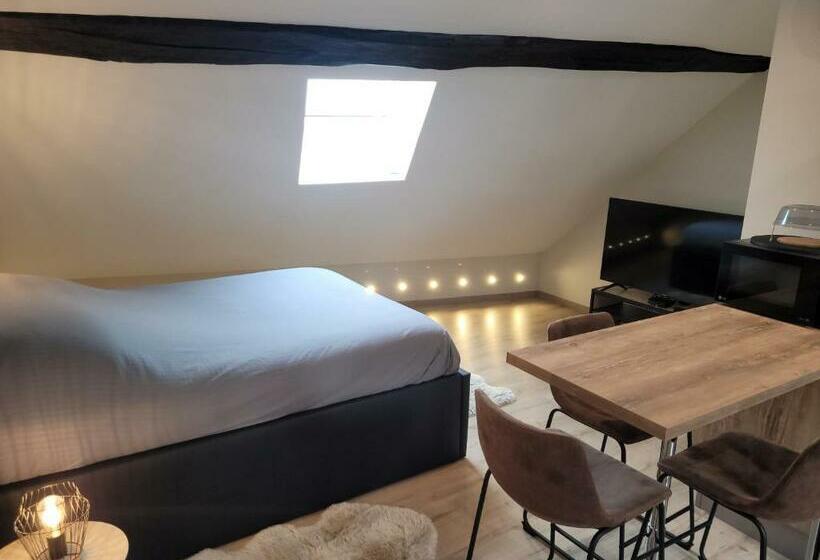 Studio Au Centre Ville