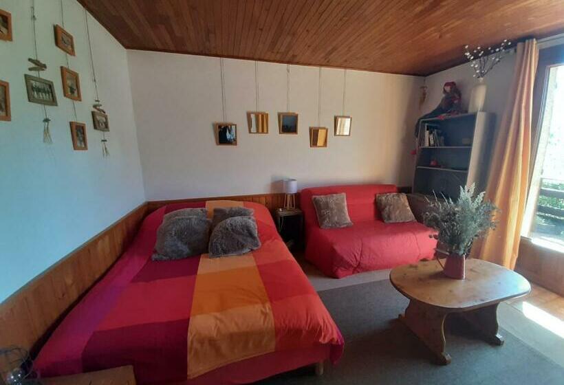 Studio Sympa Avec Terrasse , Maxi 4 Pers.briançon