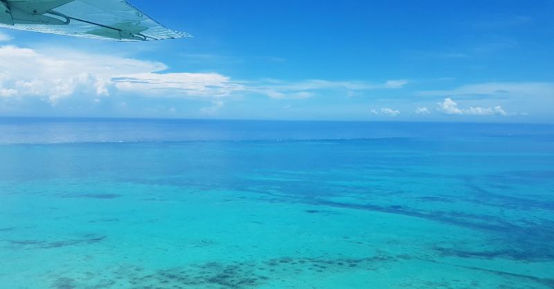 فندق Royal Caribbean Resort