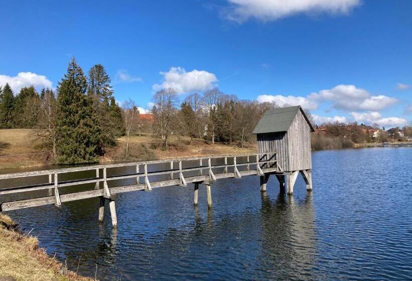 Hahnenklee Charme   Moderne Neue Ferienwohnung Mit 2 Balkons