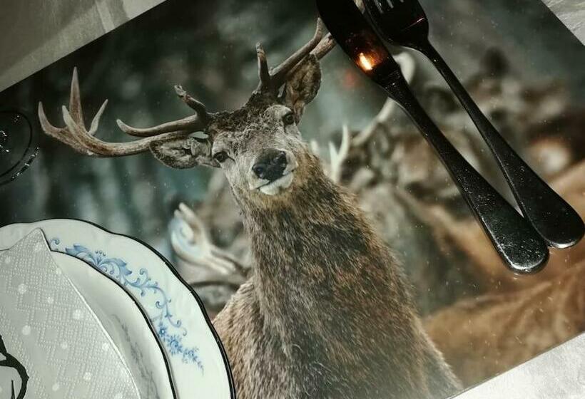 Lesse En Ciel Vous Accueille Avec Plaisir