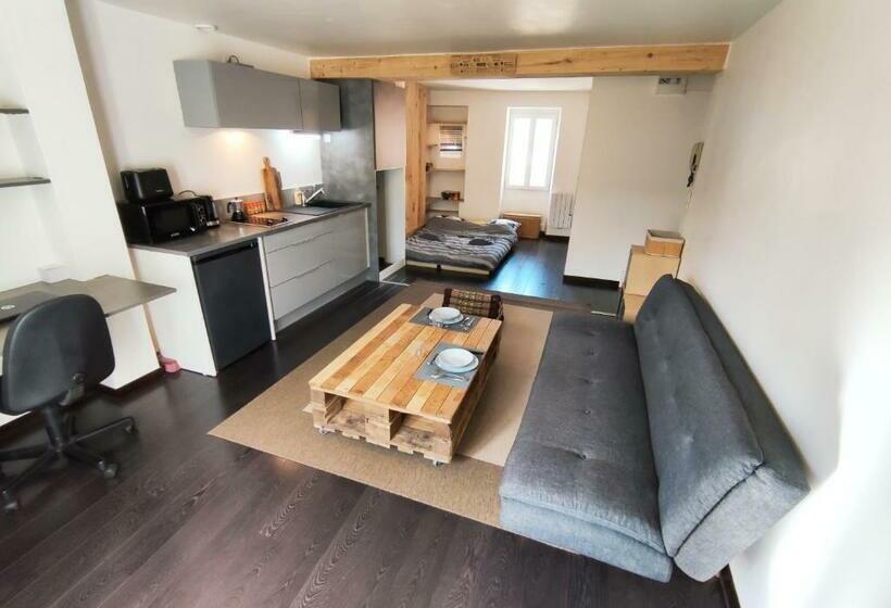 Millau Charmant Studio En Centre Ville