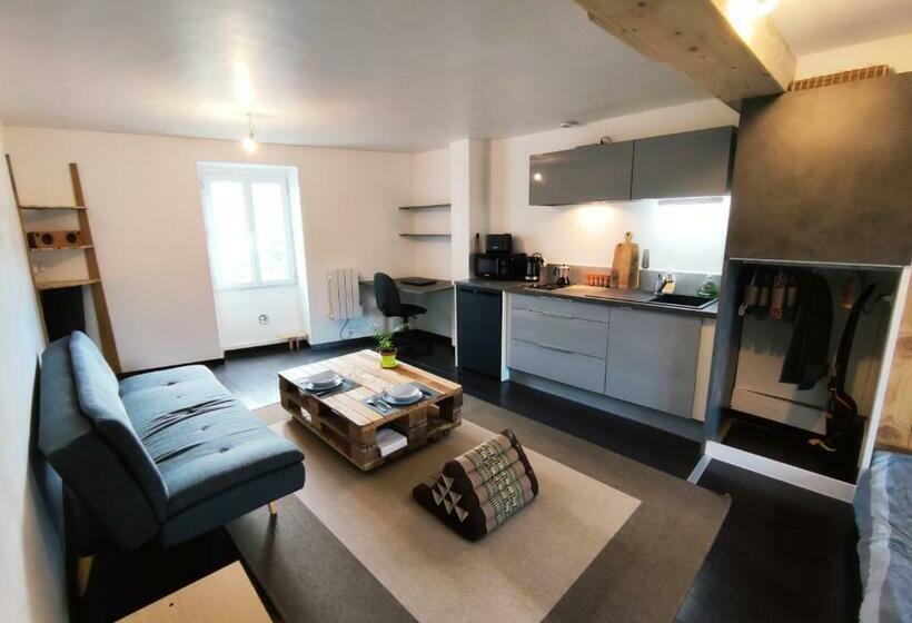 Millau Charmant Studio En Centre Ville