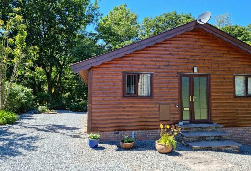 Wnion Wood Lodge With Log Burner & Sauna In Snowdonia