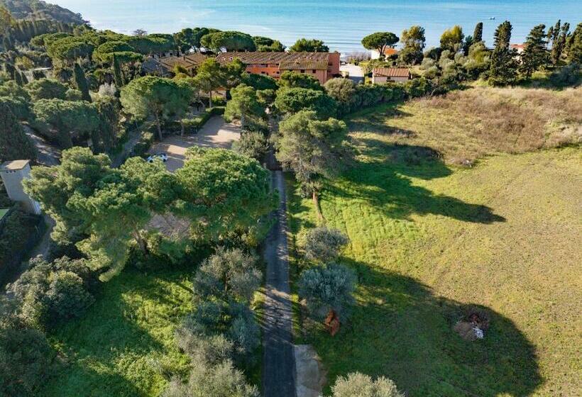 Affitti Brevi Toscana   50 Passi Dal Mare Superior