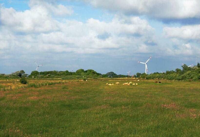 3 Bedroom Beautiful Home In Dagebüll