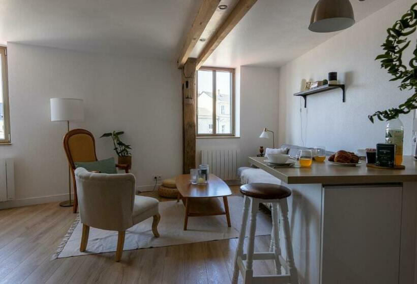 Appartement Duplex Saumur Centre, Refait à Neuf, à Proximité Du Château