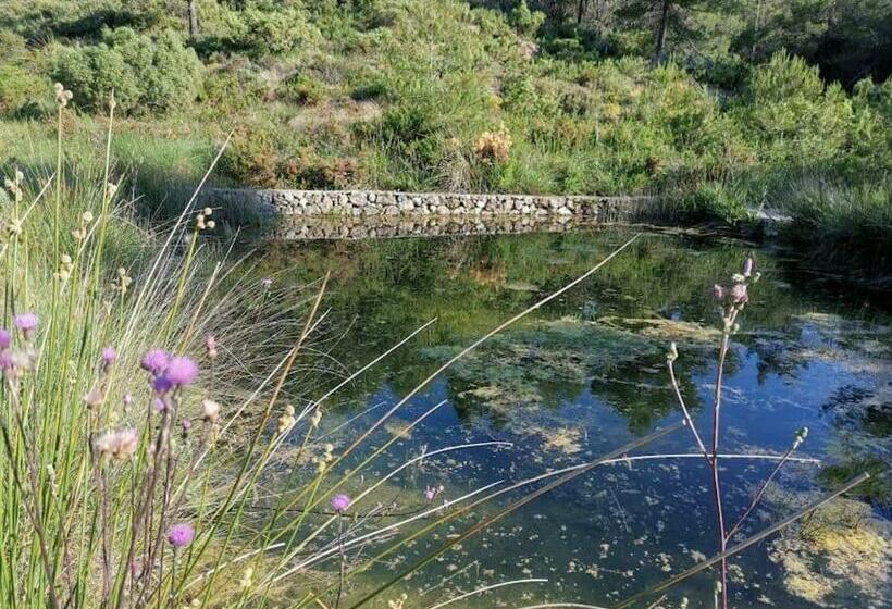 Casa Rural Benalaz   Disfruta En La Montaña Con Tu Familia Y Amigos
