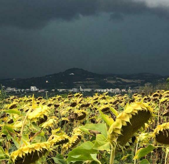 Casale Del Monte, Pesaro