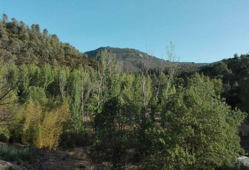 Huerta De José Miguel