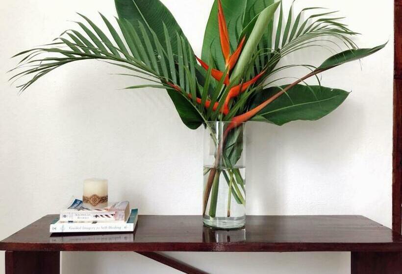 Luna De Jade Apartment