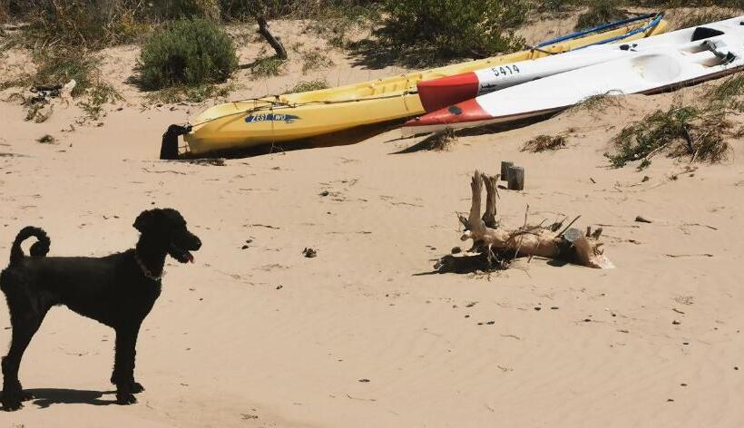 River View Cottage   At The Breede   Load Shedding Free