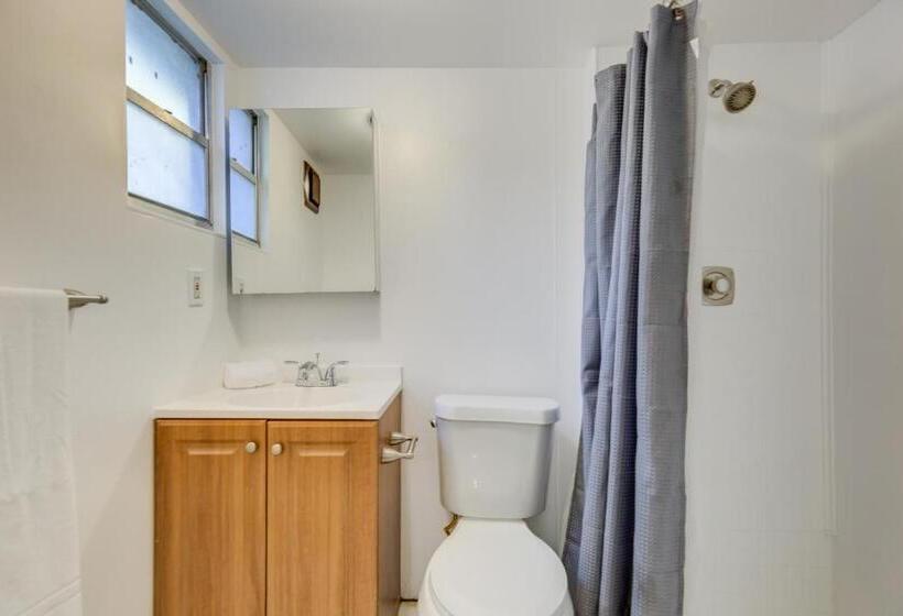 The Cottage In The Oaks   By Avi