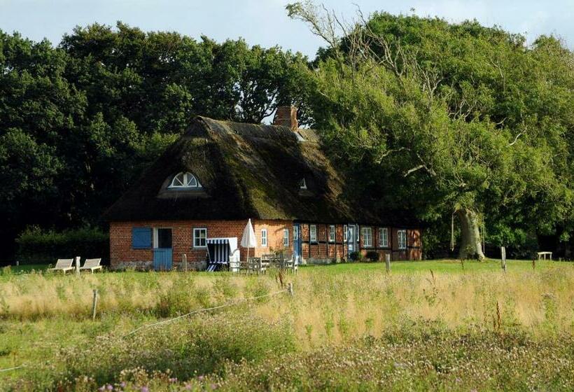 Fischerkate   Schloss Gelting