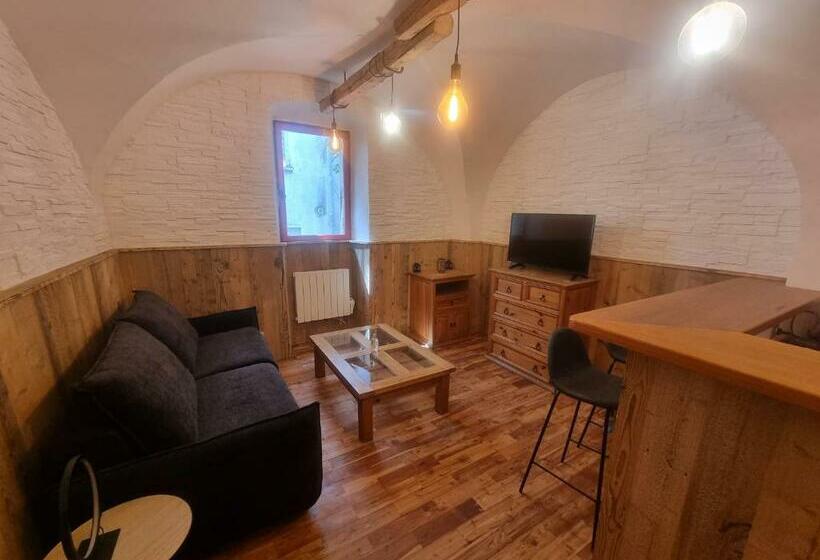 Grand Studio Plein Centre