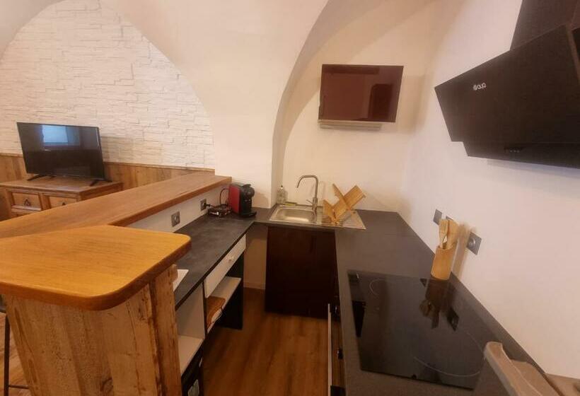 Grand Studio Plein Centre