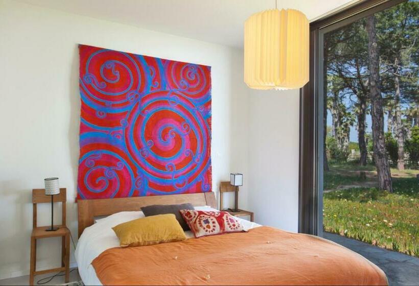 Villa D Architecte Pieds Dans L Eau 800m Parc Galea