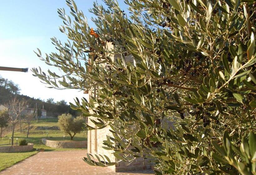 Agriturismo Villa Sant  Andrea