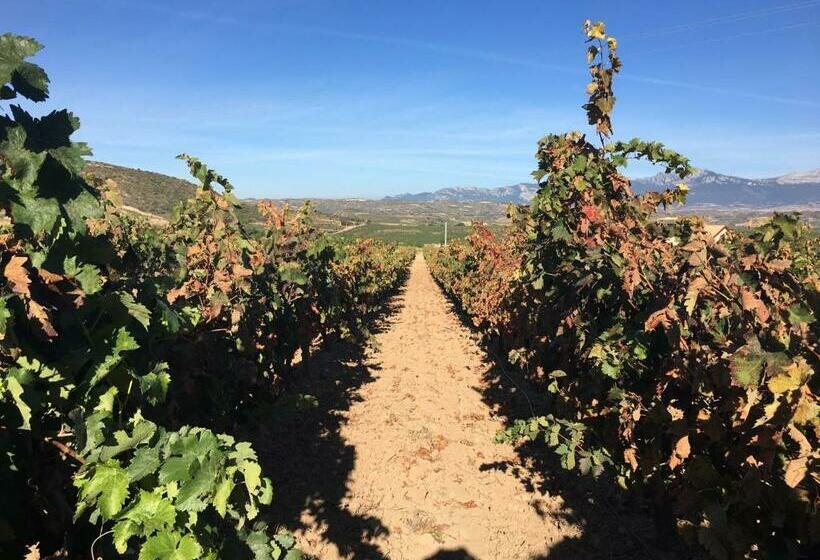 Avd De La Paz Apartamento