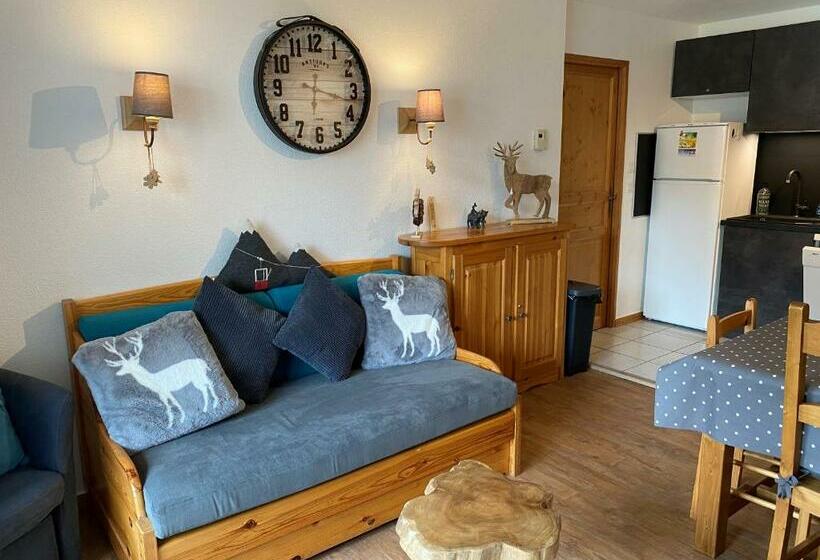 Grand Panorama T2 Aux Pieds Des Télécabines Le Valleen